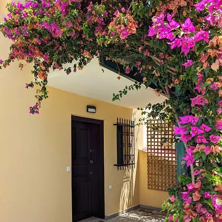 Spacious House With Shared Pool Apartment
